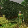 Middle-earth Online