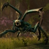 Képek láttak napvilágot a The Elder Scrolls Online-ból