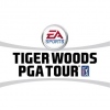 Nem lesz több Tiger Woods golfjáték