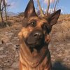 Ismerd meg Rivert, a Fallout 4 négylábú sztárját