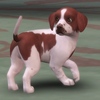 Kutyákat és macskákat hoz a The Sims 4: Cats & Dogs